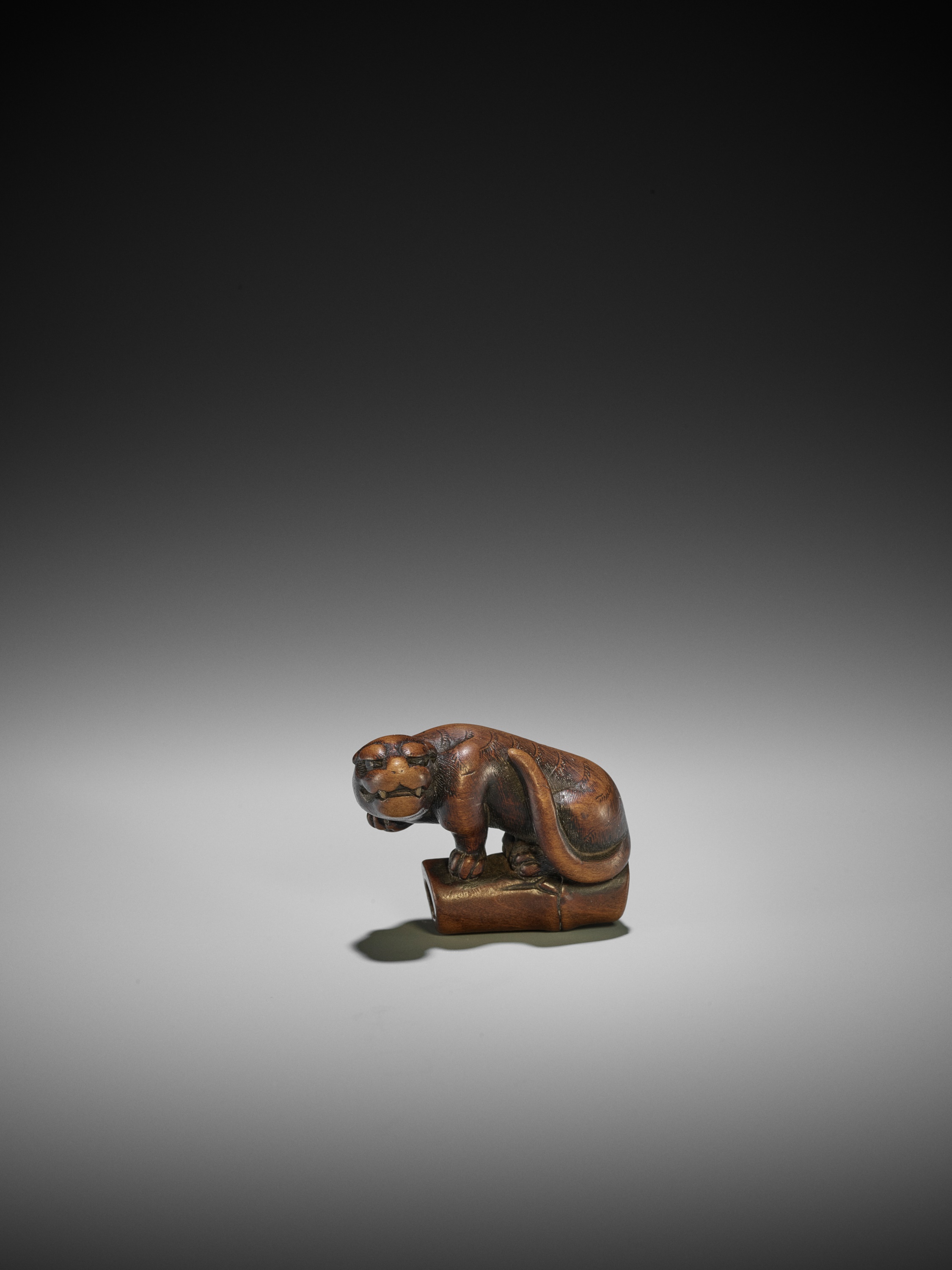 A FINE KYOTO SCHOOL WOOD NETSUKE OF A TIGER ON BAMBOO - Image 6 of 10