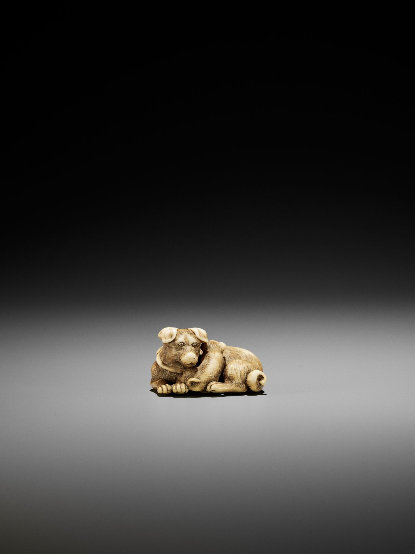 A SUPERB IVORY NETSUKE OF A FEMALE DOG WITH YOUNG, ATTRIBUTED TO OKATOMO - Image 2 of 13