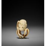 A GOOD IVORY NETSUKE OF AN OCTOPUS