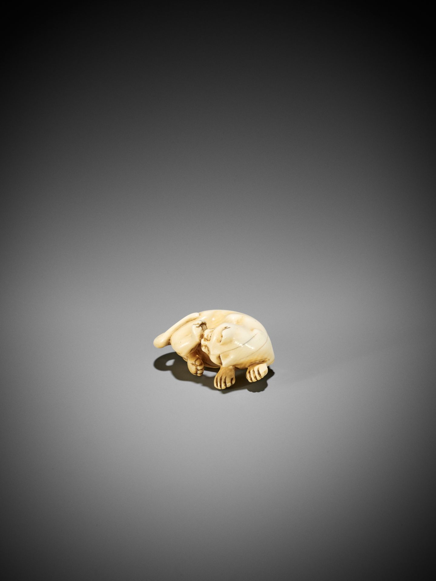 AN IVORY NETSUKE OF A CAT GROOMING ITSELF - Image 5 of 9