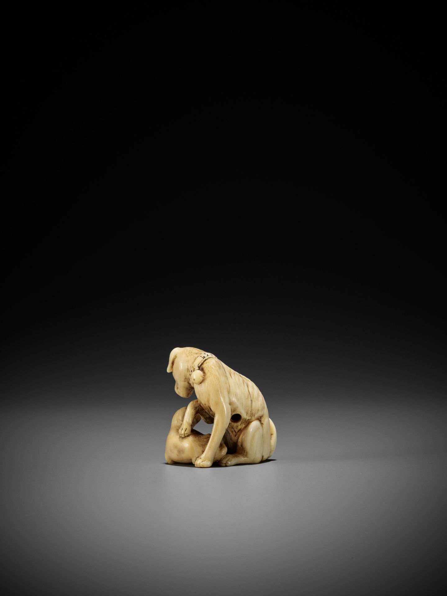 TOMOTADA: A FINE IVORY NETSUKE OF A BITCH AND PUP - Image 4 of 12