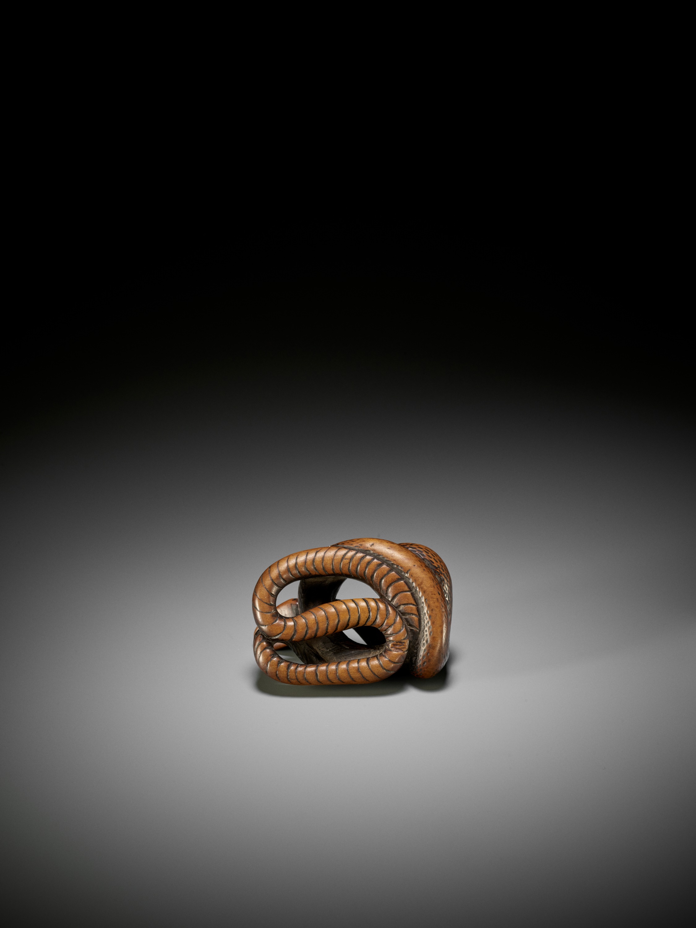 A LARGE AND POWERFUL WOOD NETSUKE OF A COILED SNAKE - Image 8 of 10