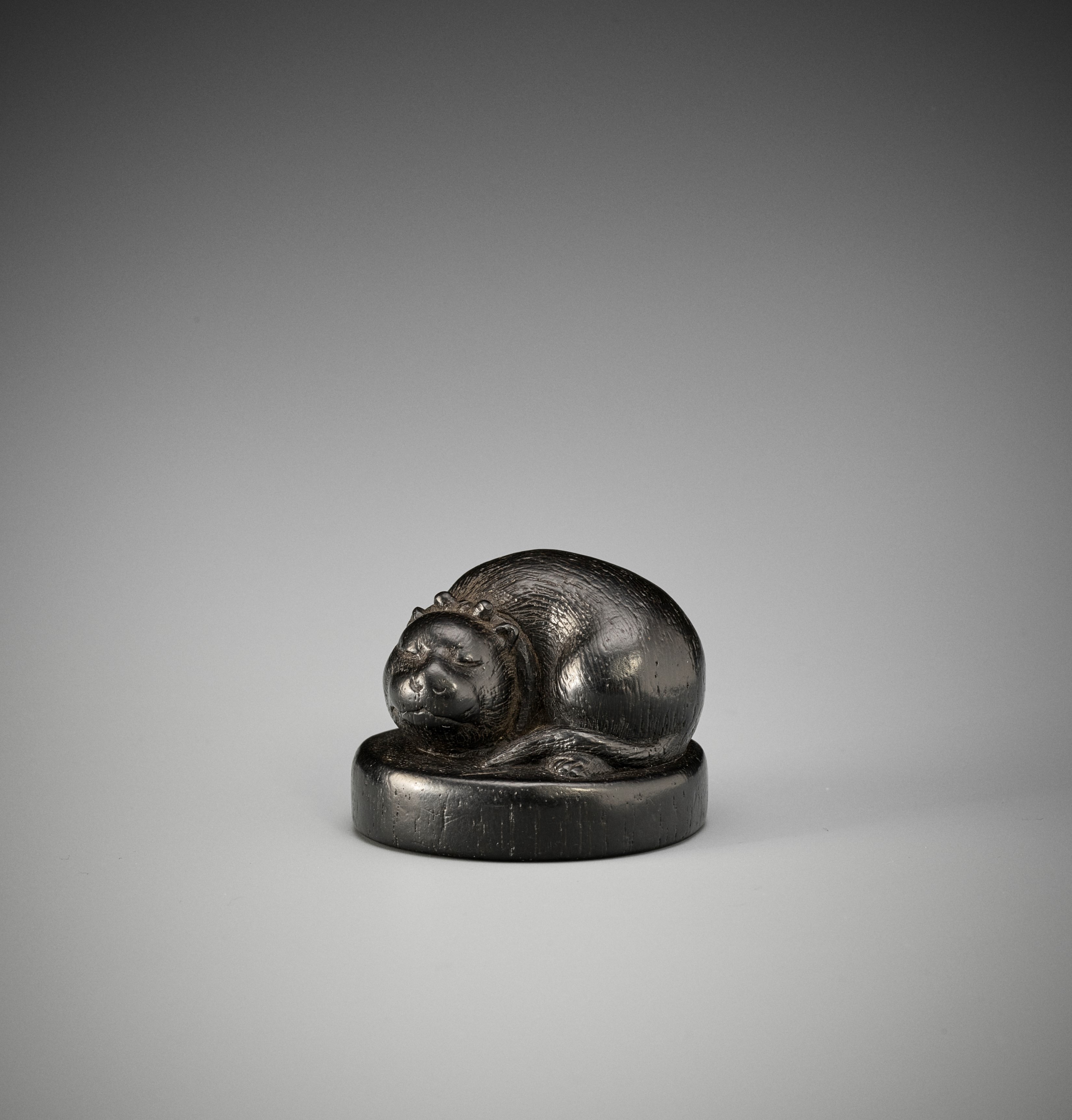 FUTSUHIRA: A RARE EBONY WOOD NETSUKE OF A FAT CAT