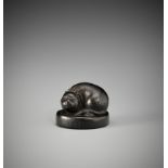 FUTSUHIRA: A RARE EBONY WOOD NETSUKE OF A FAT CAT