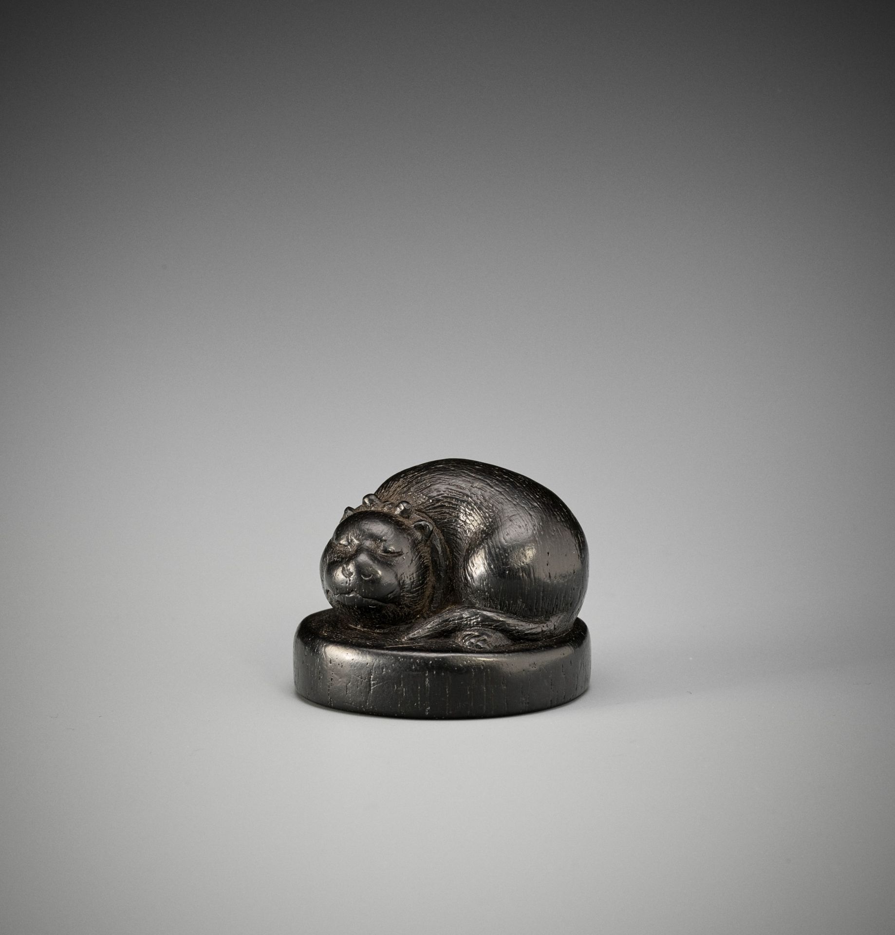 FUTSUHIRA: A RARE EBONY WOOD NETSUKE OF A FAT CAT