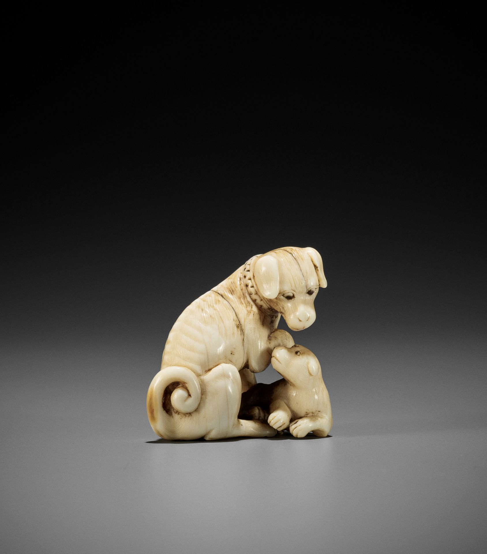 TOMOTADA: A FINE IVORY NETSUKE OF A BITCH AND PUP