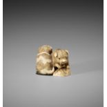 OKATOMO: AN IVORY NETSUKE OF TWO PUPPIES WITH AWABI