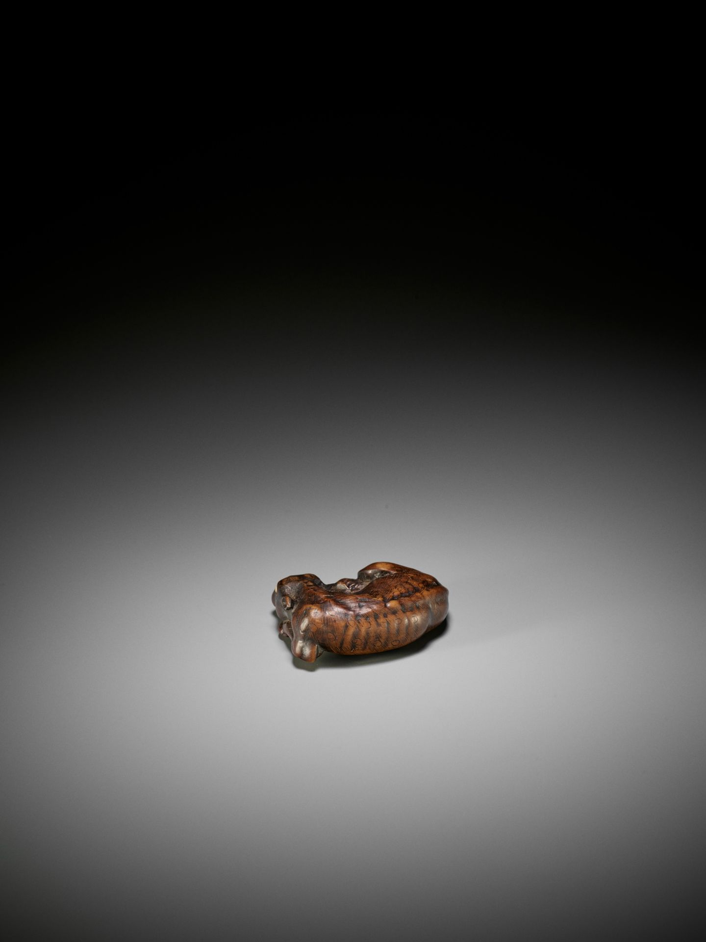 MASATOMO: A FINE WOOD NETSUKE OF A RECUMBENT DEER - Image 4 of 12