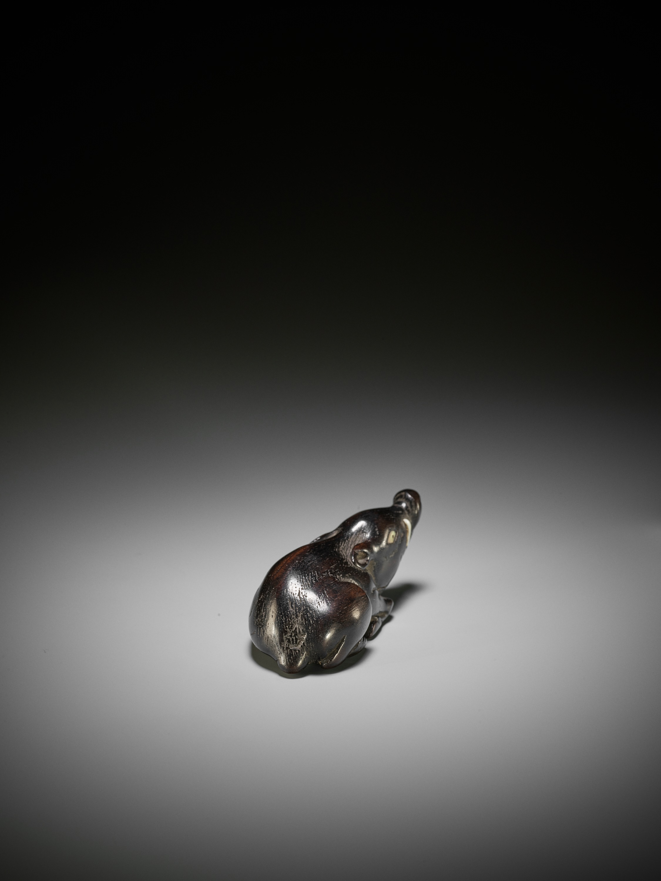 A LARGE AND OLD DARK WOOD NETSUKE OF A RECUMBENT BOAR - Image 8 of 9