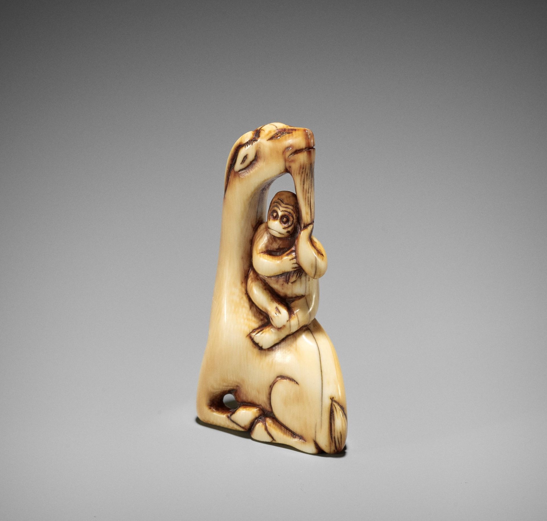 AN IVORY NETSUKE OF A SINIU AND MONKEY