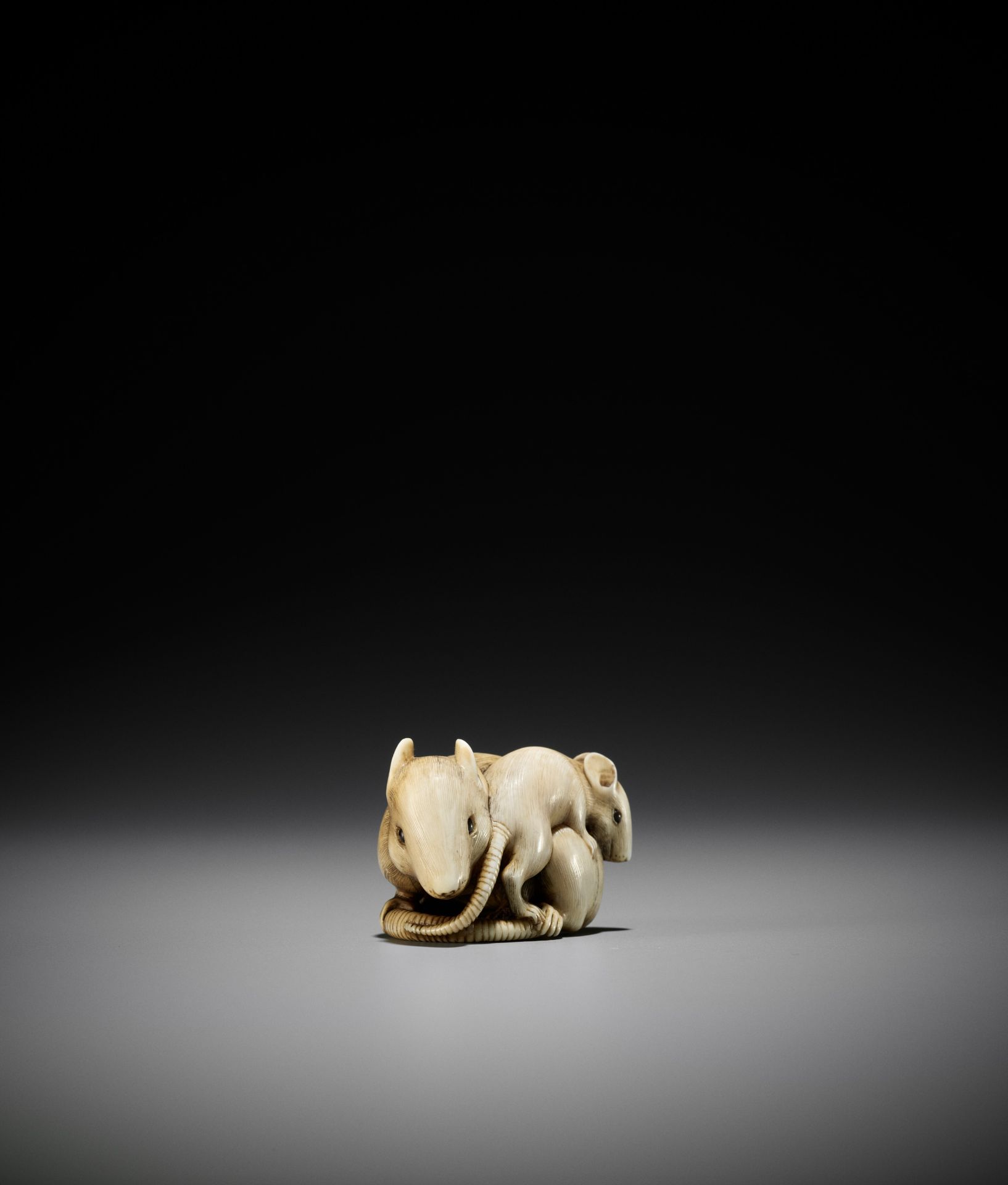 A POWERFUL AND LARGE KYOTO SCHOOL IVORY NETSUKE OF A RAT AND YOUNG - Image 9 of 11