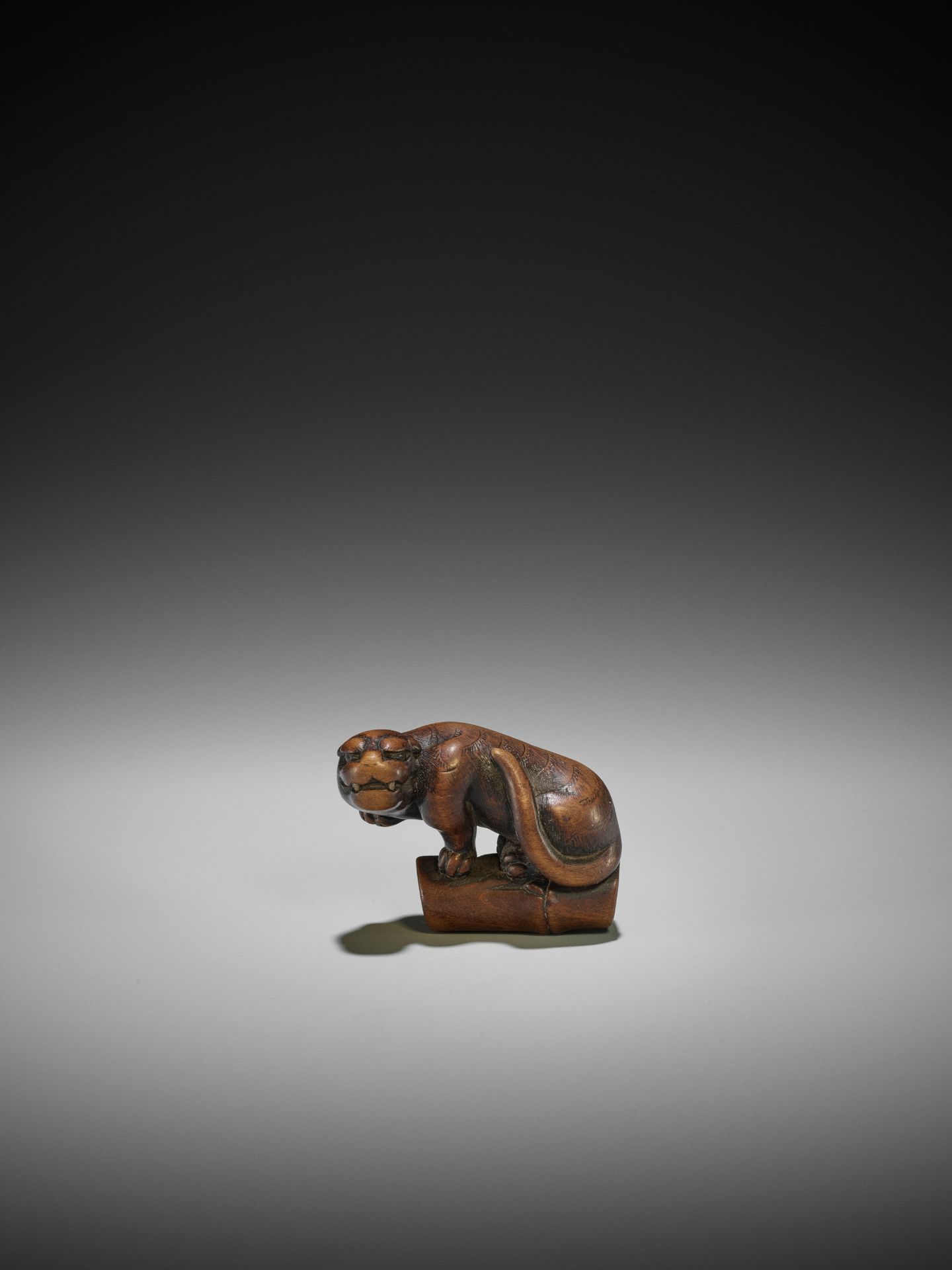 A FINE KYOTO SCHOOL WOOD NETSUKE OF A TIGER ON BAMBOO - Image 5 of 10