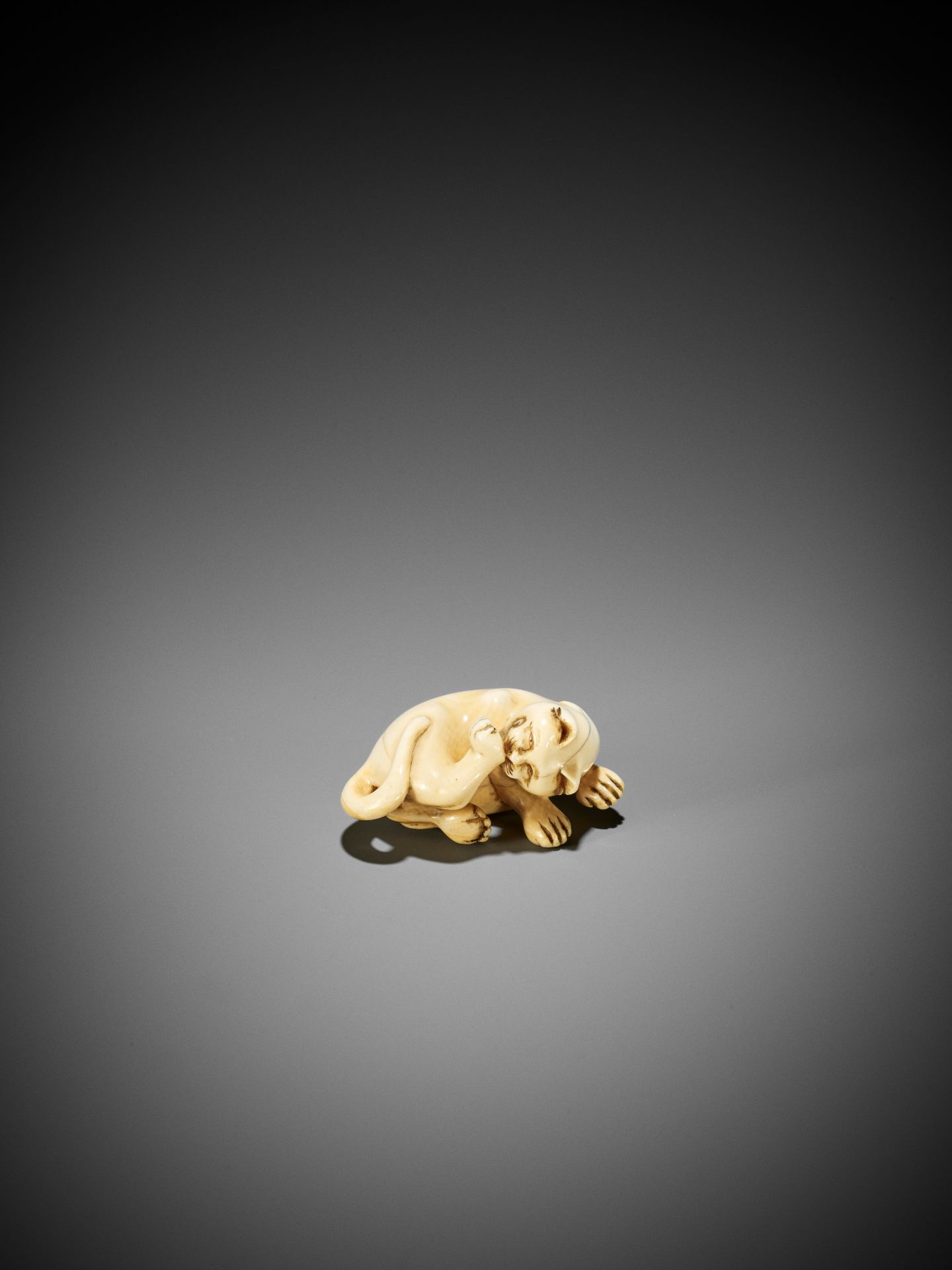 AN IVORY NETSUKE OF A CAT GROOMING ITSELF - Image 3 of 9