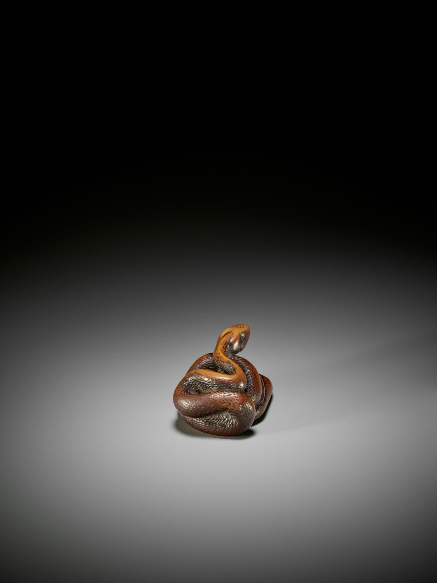 A LARGE AND POWERFUL WOOD NETSUKE OF A COILED SNAKE - Image 7 of 10