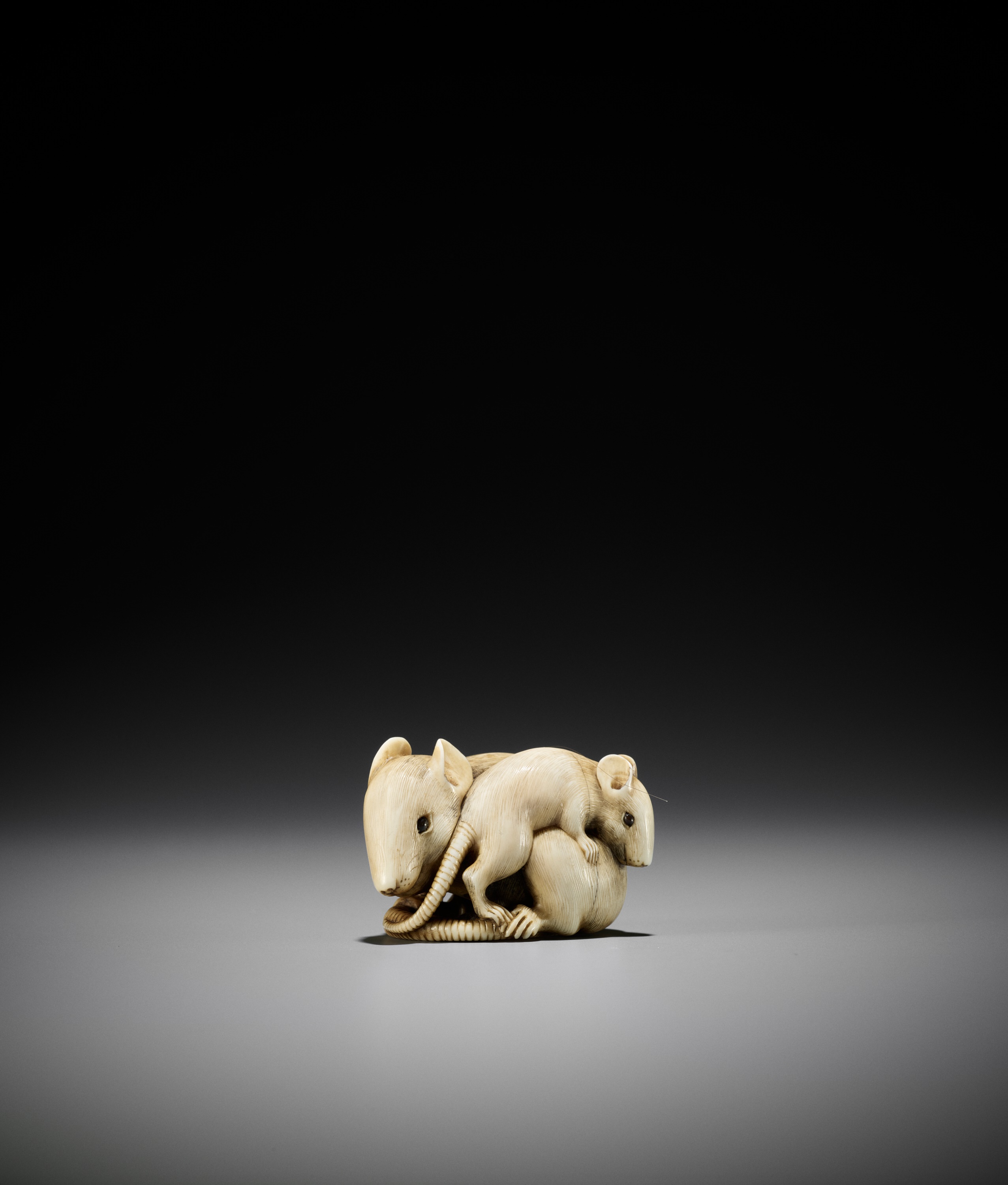 A POWERFUL AND LARGE KYOTO SCHOOL IVORY NETSUKE OF A RAT AND YOUNG - Image 10 of 11