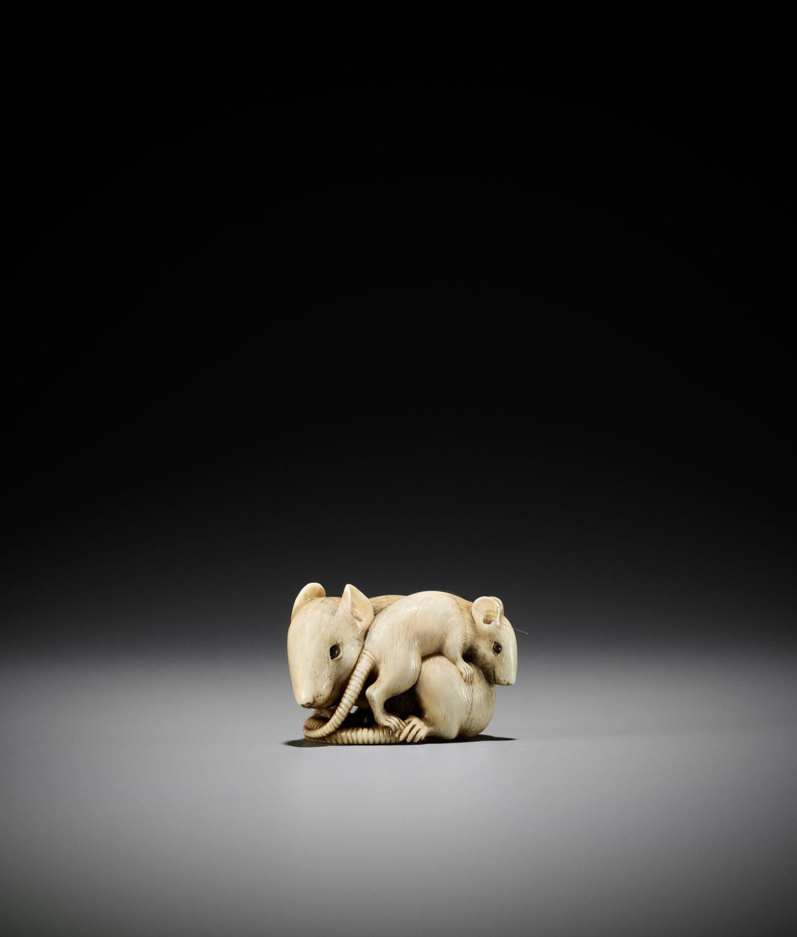 A POWERFUL AND LARGE KYOTO SCHOOL IVORY NETSUKE OF A RAT AND YOUNG - Image 10 of 11