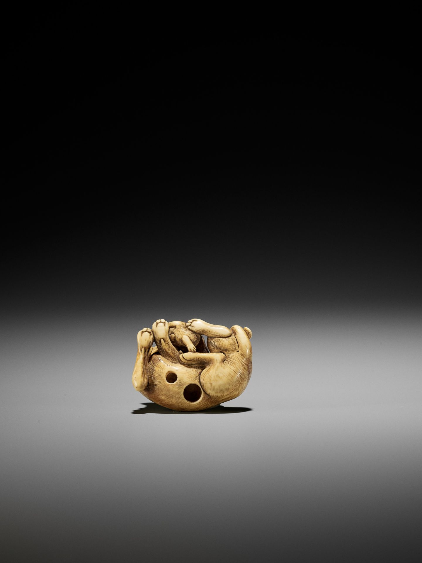A SUPERB IVORY NETSUKE OF A FEMALE DOG WITH YOUNG, ATTRIBUTED TO OKATOMO - Image 3 of 13