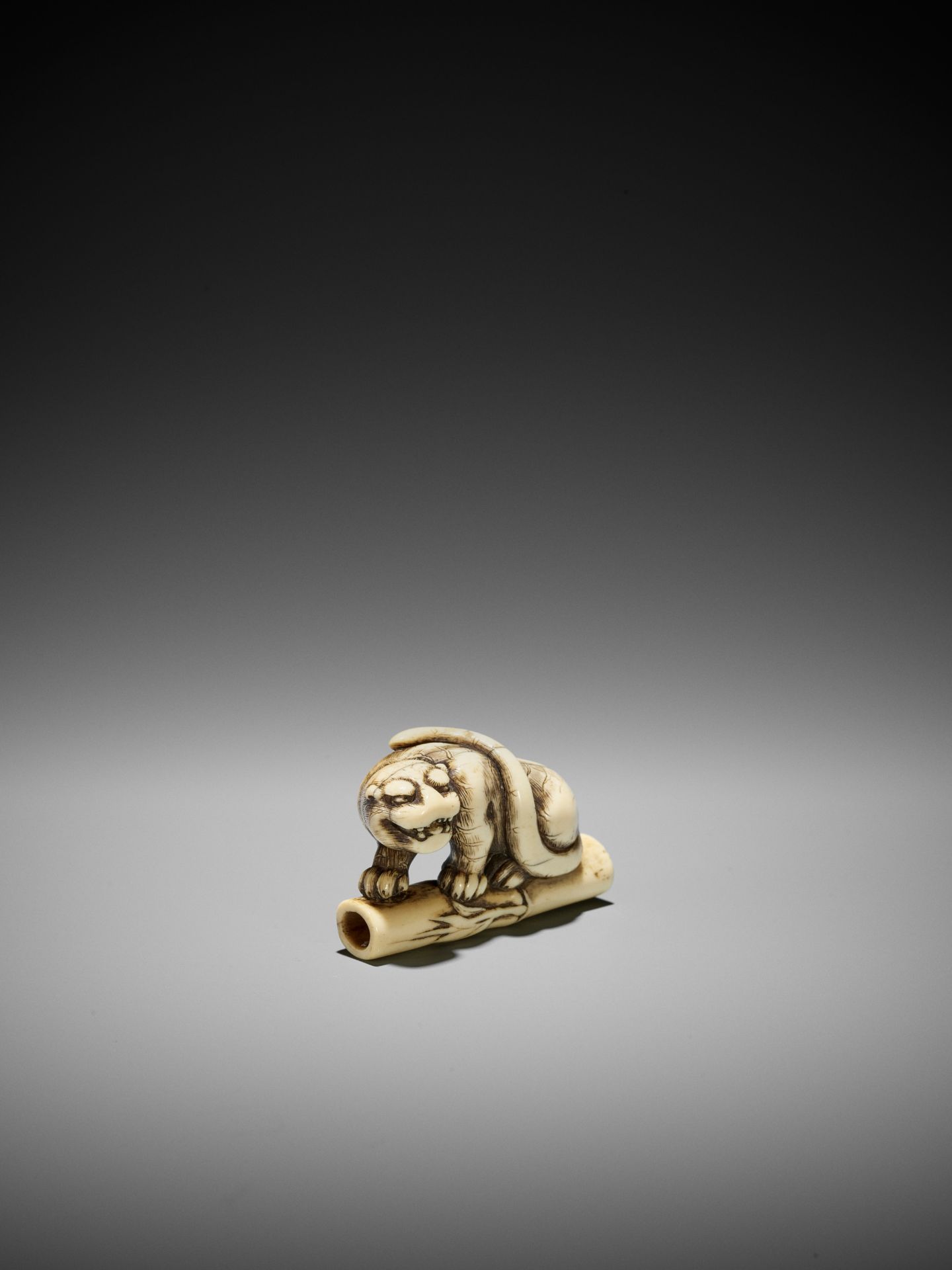 A POWERFUL KYOTO SCHOOL IVORY NETSUKE OF A TIGER ON BAMBOO - Image 5 of 13