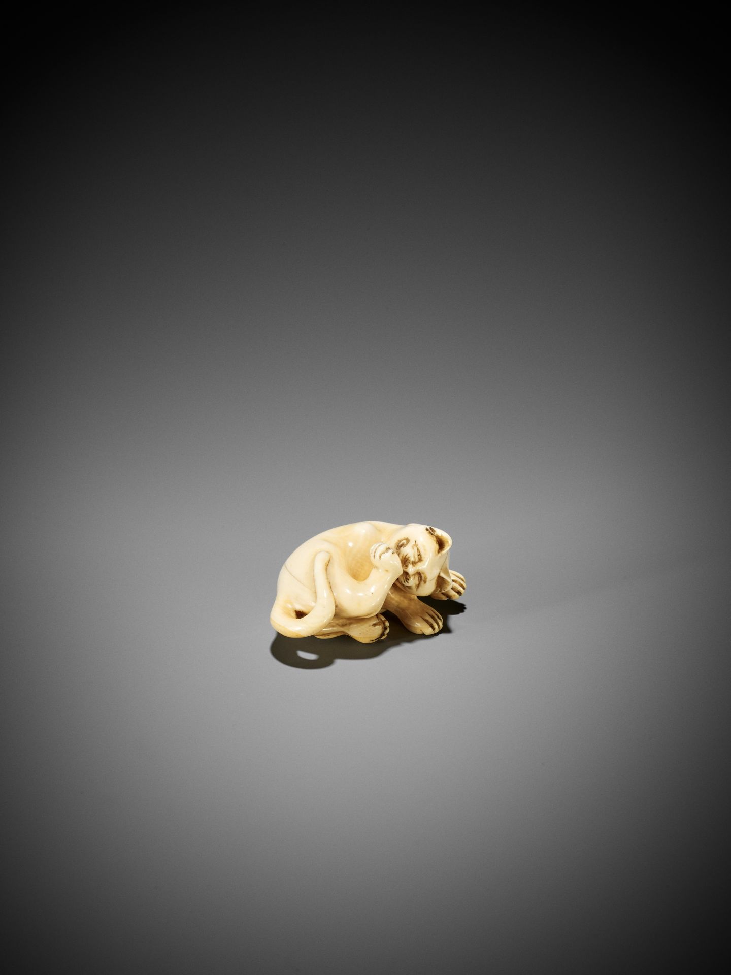 AN IVORY NETSUKE OF A CAT GROOMING ITSELF - Image 4 of 9