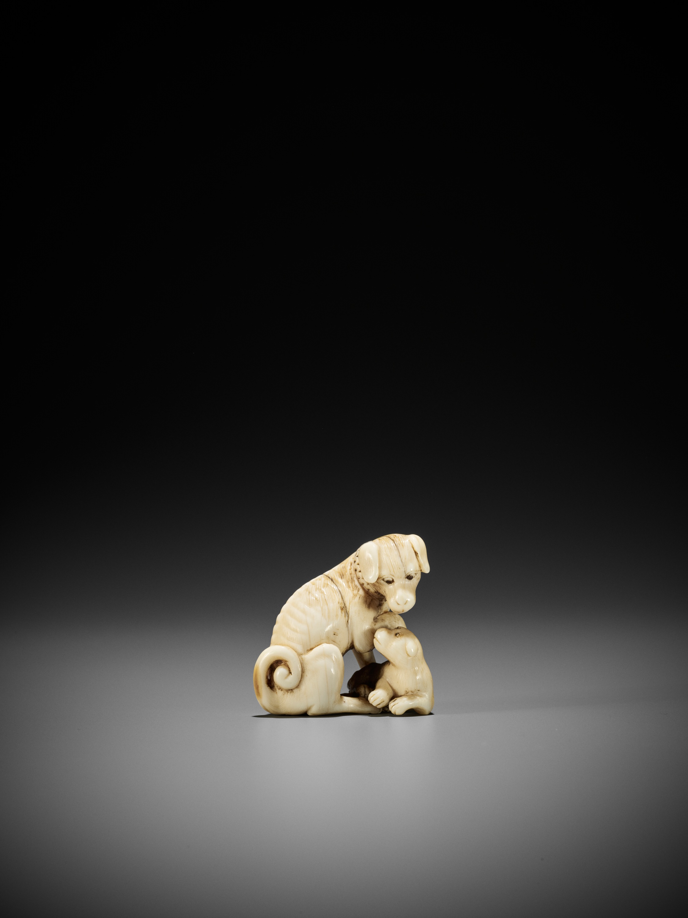 TOMOTADA: A FINE IVORY NETSUKE OF A BITCH AND PUP - Image 6 of 12