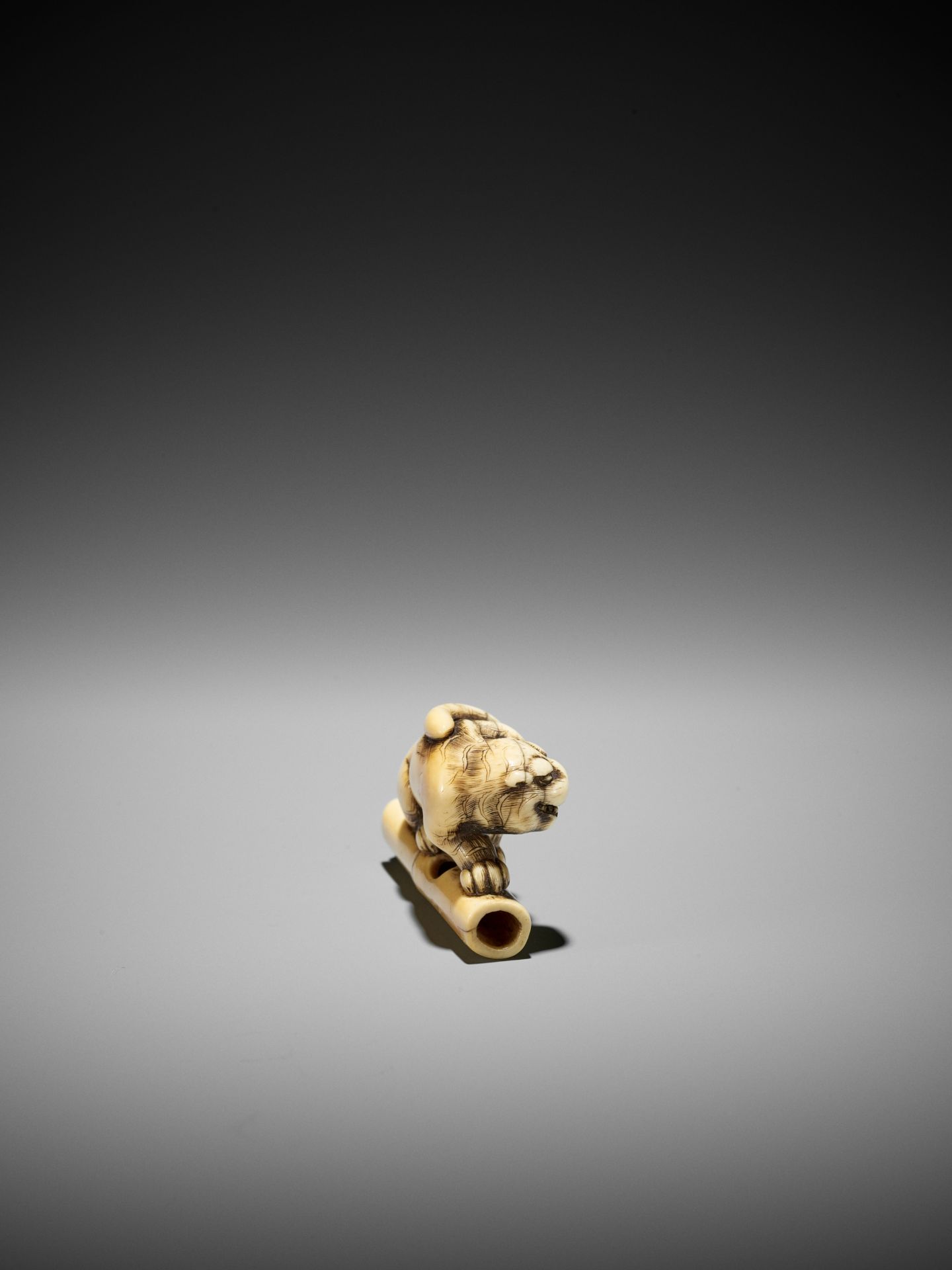 A POWERFUL KYOTO SCHOOL IVORY NETSUKE OF A TIGER ON BAMBOO - Image 8 of 13