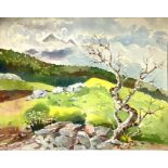 Painting Watercolor on paper, depicting mountain landscape with trees and rocks. Signed on the lower