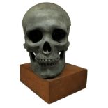 Bronze Skull, late nineteenth century. H 31 cm, 8 cm in wooden base