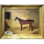 Oil painting on canvas depicting horse nineteenth century. Cm 46x61. Signed on the lower right J. C.