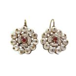 12K gold earrings with freshwater pearls and rubies. Gr 11.3