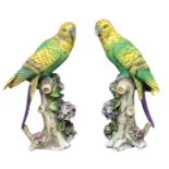 Pair of statuettes of Capodimonte porcelain depicting parrots. H 17 cm.