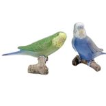 Copenhagen, pair of porcelain figurines depicting parrots. H cm 8,5x14