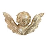 Angel sculpture with wings on golden wood Leaf, nineteenth century. Cm 65x34. Thickness 18 cm