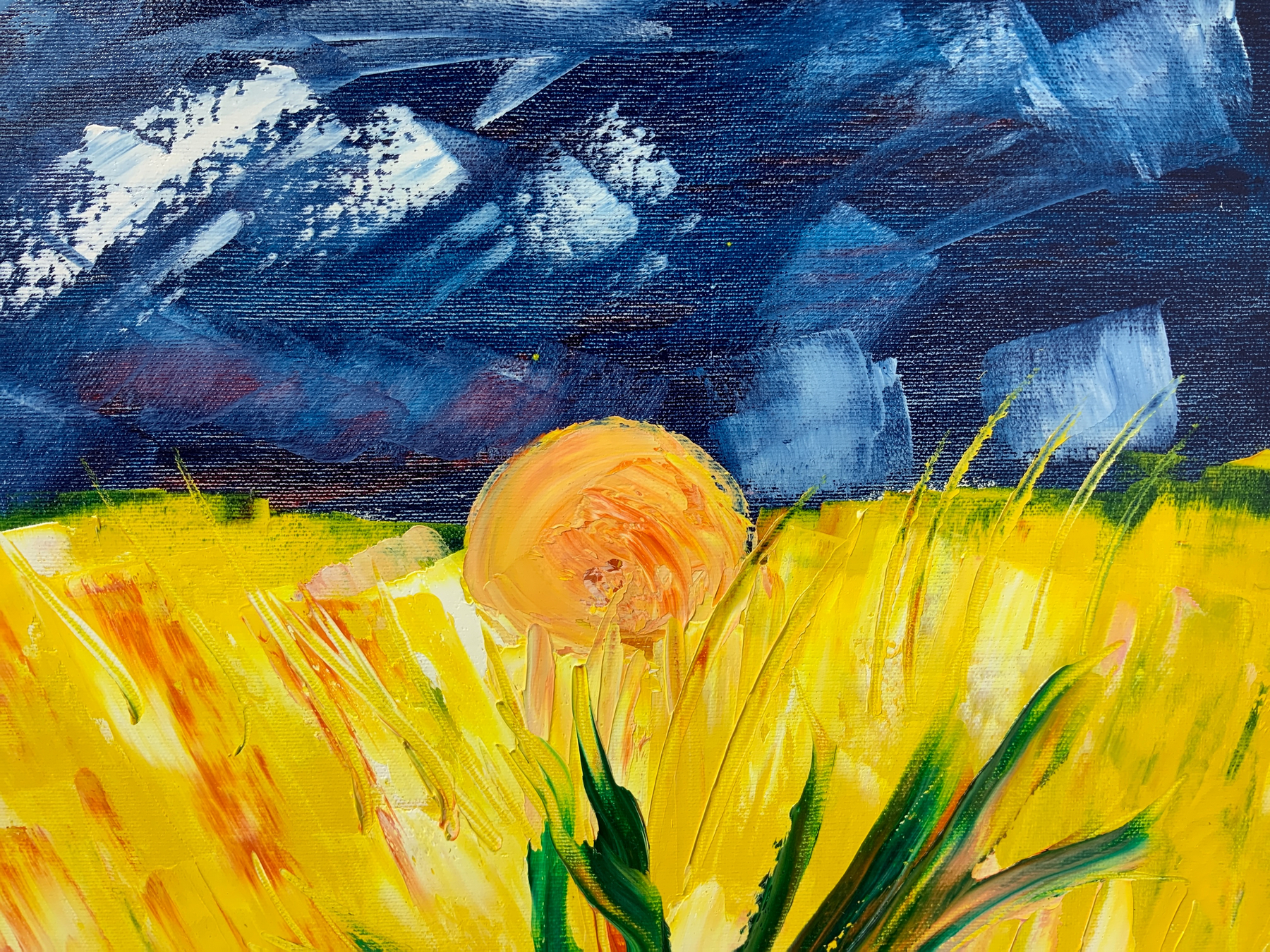 Oil painting on canvas signed M. Marino, depicting agave and wheat field. Cm 60x50 - Image 3 of 5
