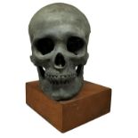 Skull in bronze, Late 19th century