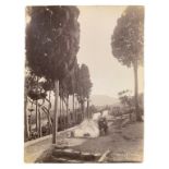 Von Gloeden, Wilhelm (Wismar 1856-Taormina 1931) - Ascent with trees in Taormina (today Via Luig