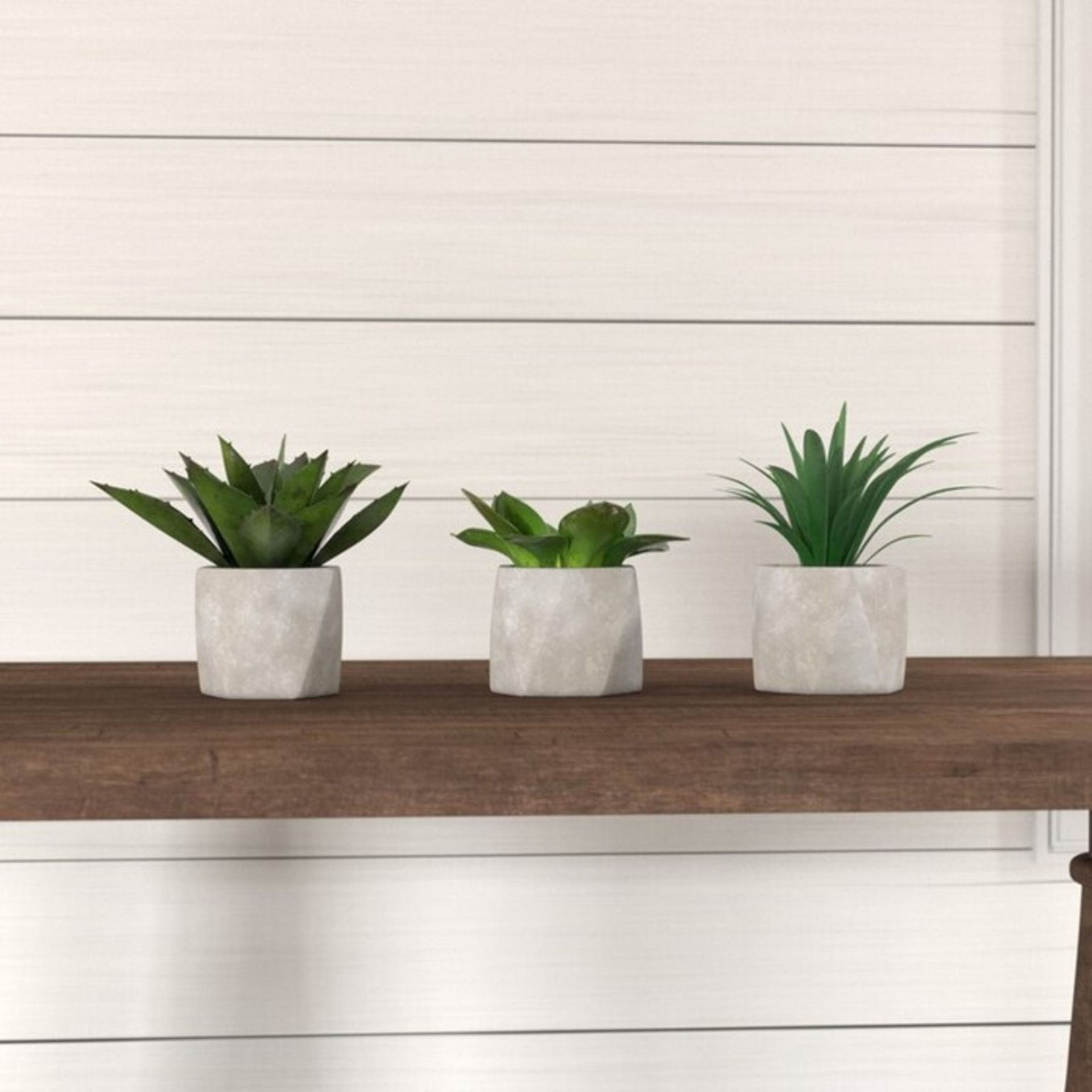 The Seasonal Aisle, Sprague 3 Piece Succulent Desktop Plant in Pot Set (CCOP5983.32336854 - HLS1 -