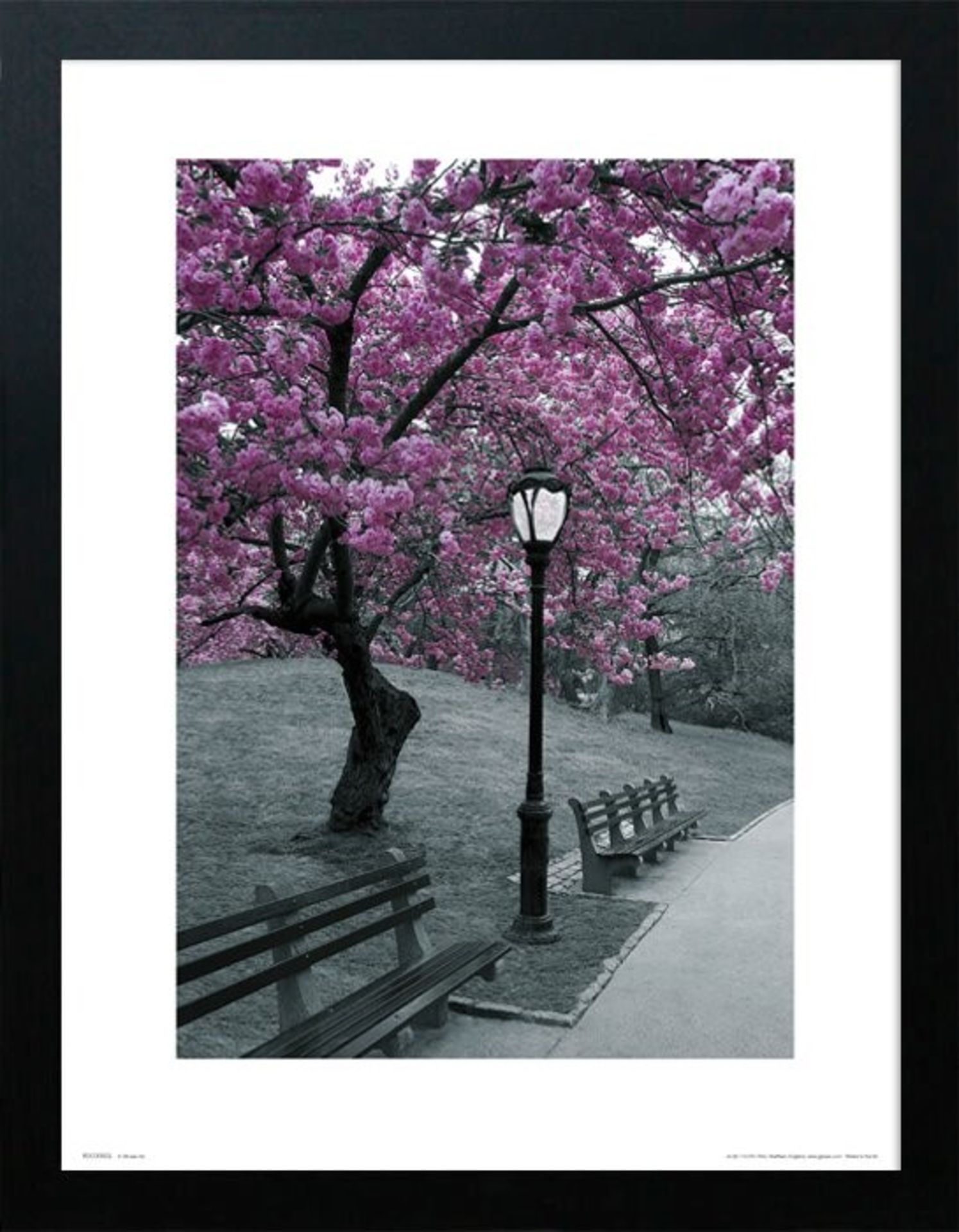 East Urban Home,'Central Park Blossom' Graphic Art RRP -£26.74 (14610/33 -HVO26722)