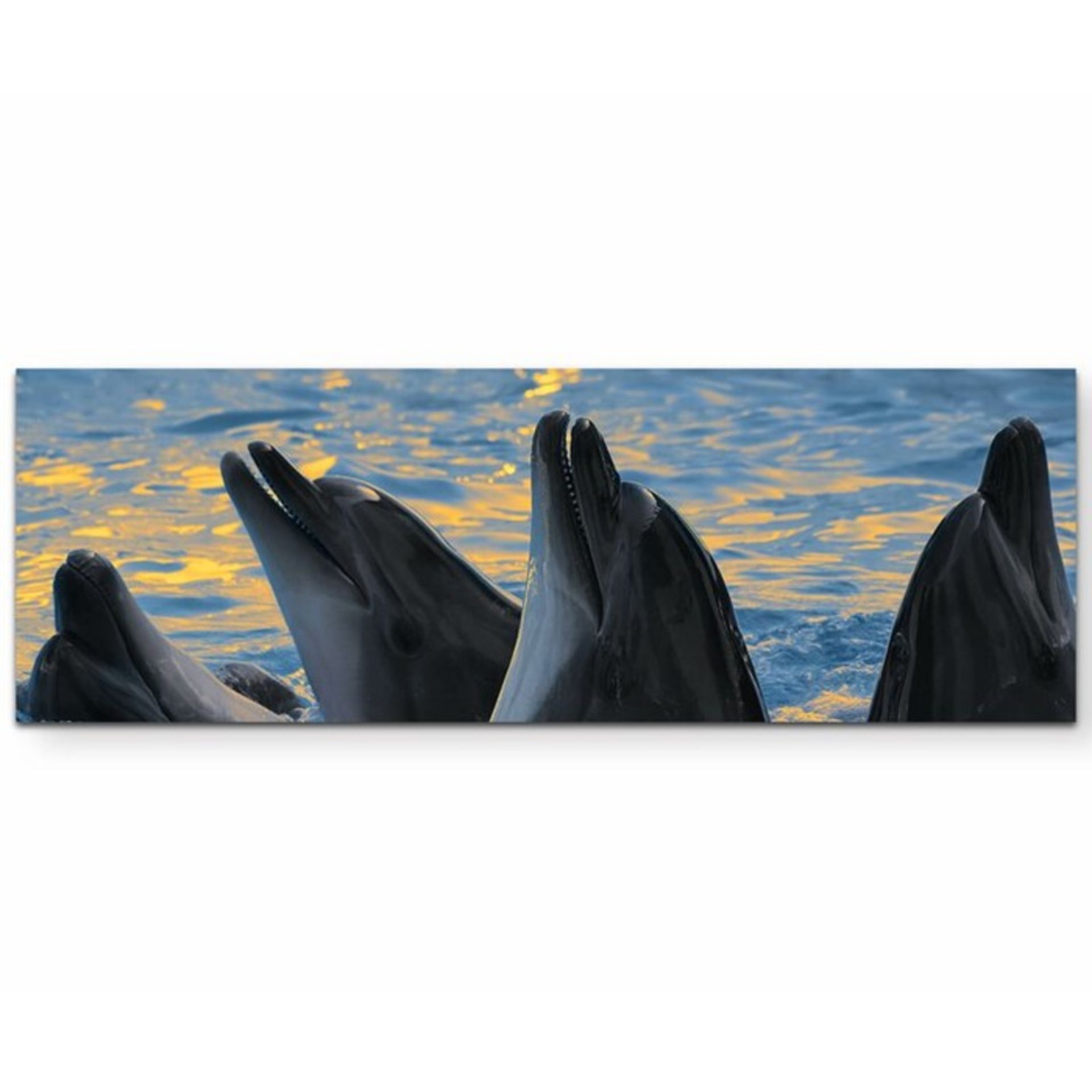 East Urban Home,Group of Dolphins at Sunset Print on Canvas RRP -£73.99 (13774/23 -EUBK0967)