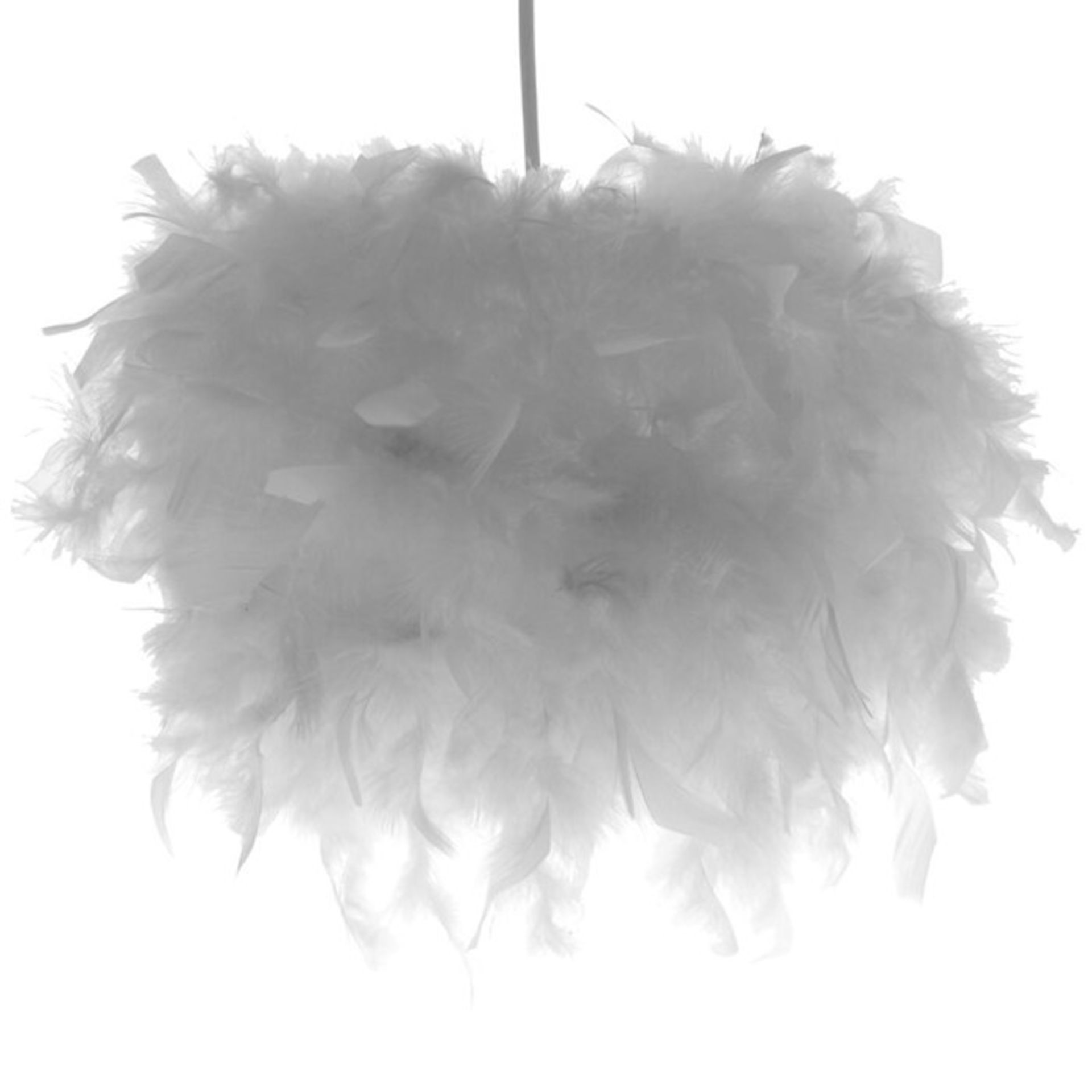 17 Stories, 25cm Feather Novelty Lamp Shade (WHITE) - RRP £23.99 (JQJJ1045.47387551 - HL9 - 15/36)