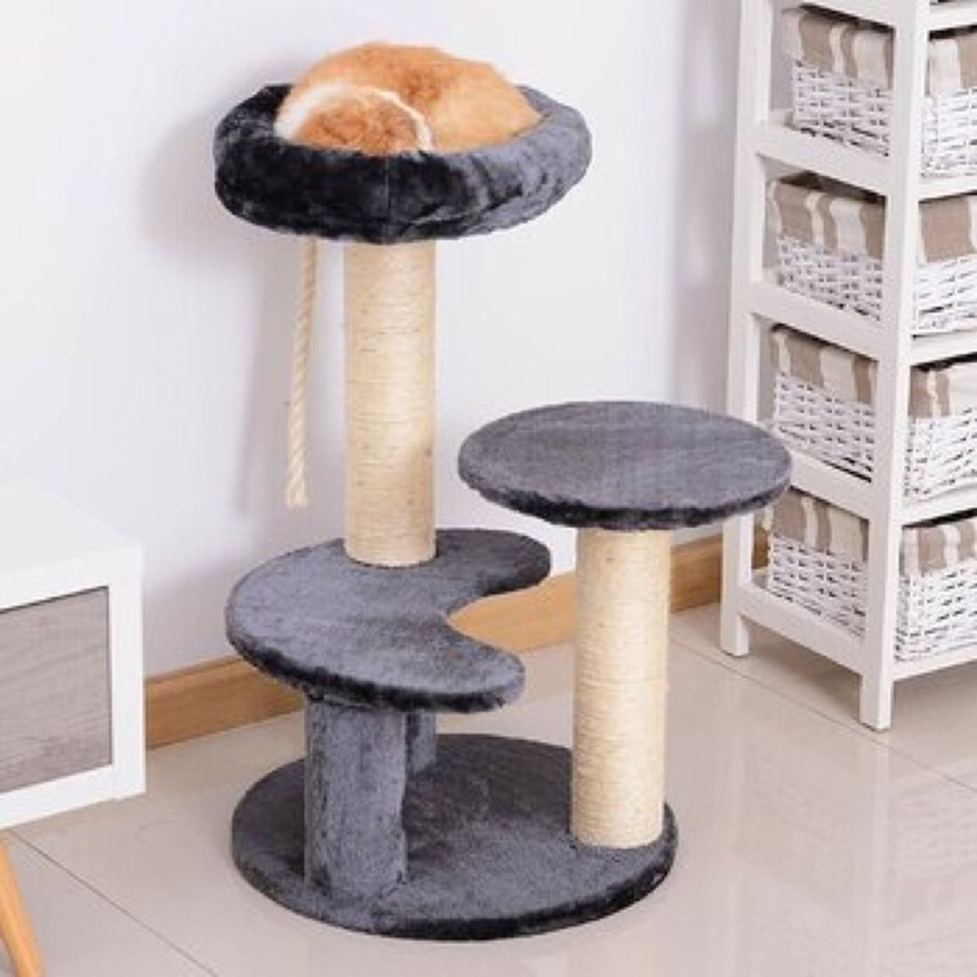 Archie & Oscar, 65cm Allison Cat Tree (BROWN) - RRP £25.99 (FINT3613 - 21356/11) 1E