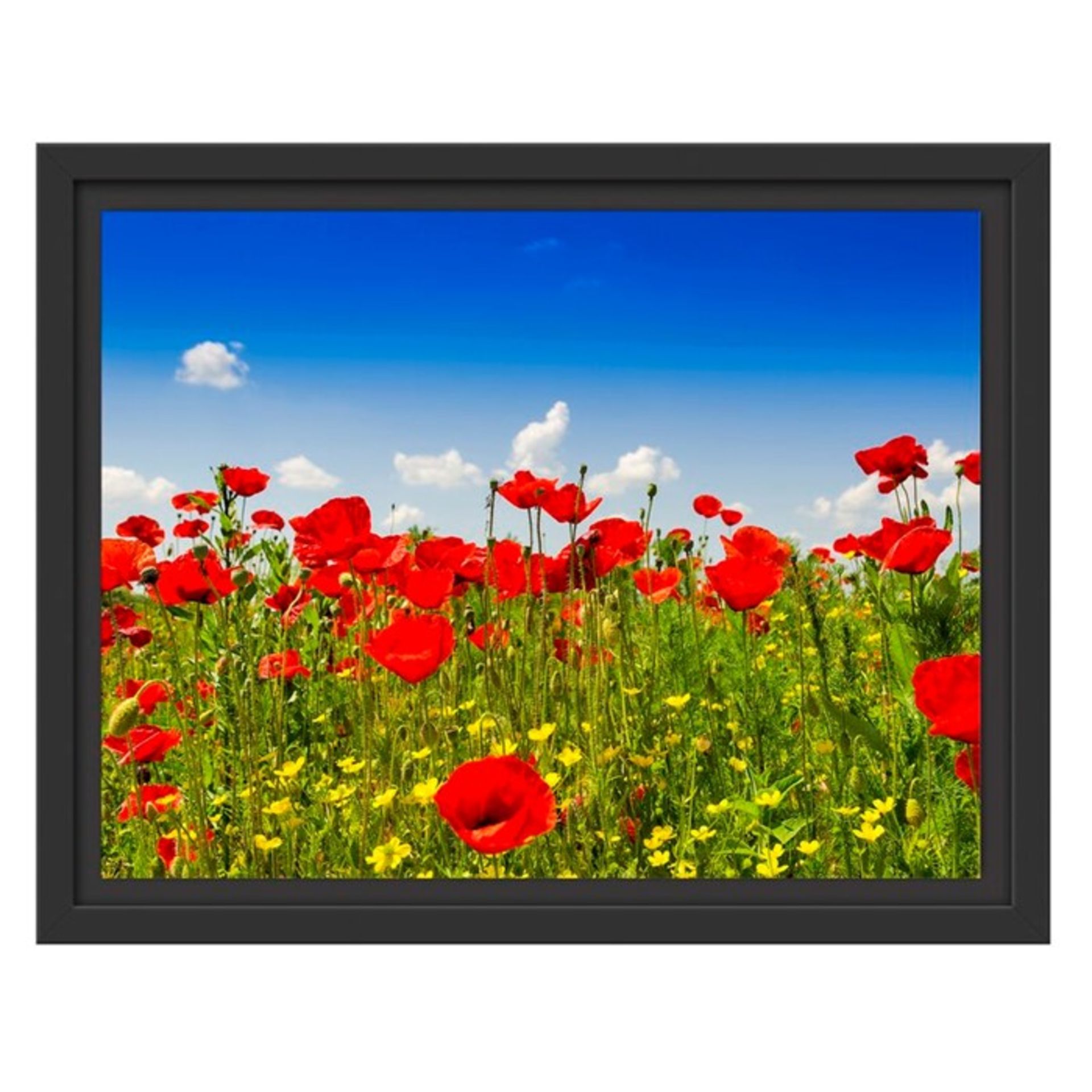 East Urban Home, Poppy Meadow' Canvas (30X38CM) - RRP £33.99 (EUCR8223 - 21356/3) 1C