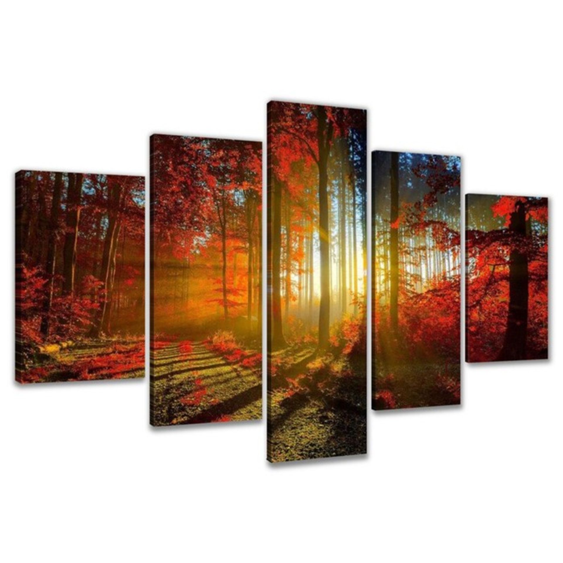Urban Designs, 'Trees in Colourful Clearing' Multi-Piece Image Photographic Print on Canvas - RRP £
