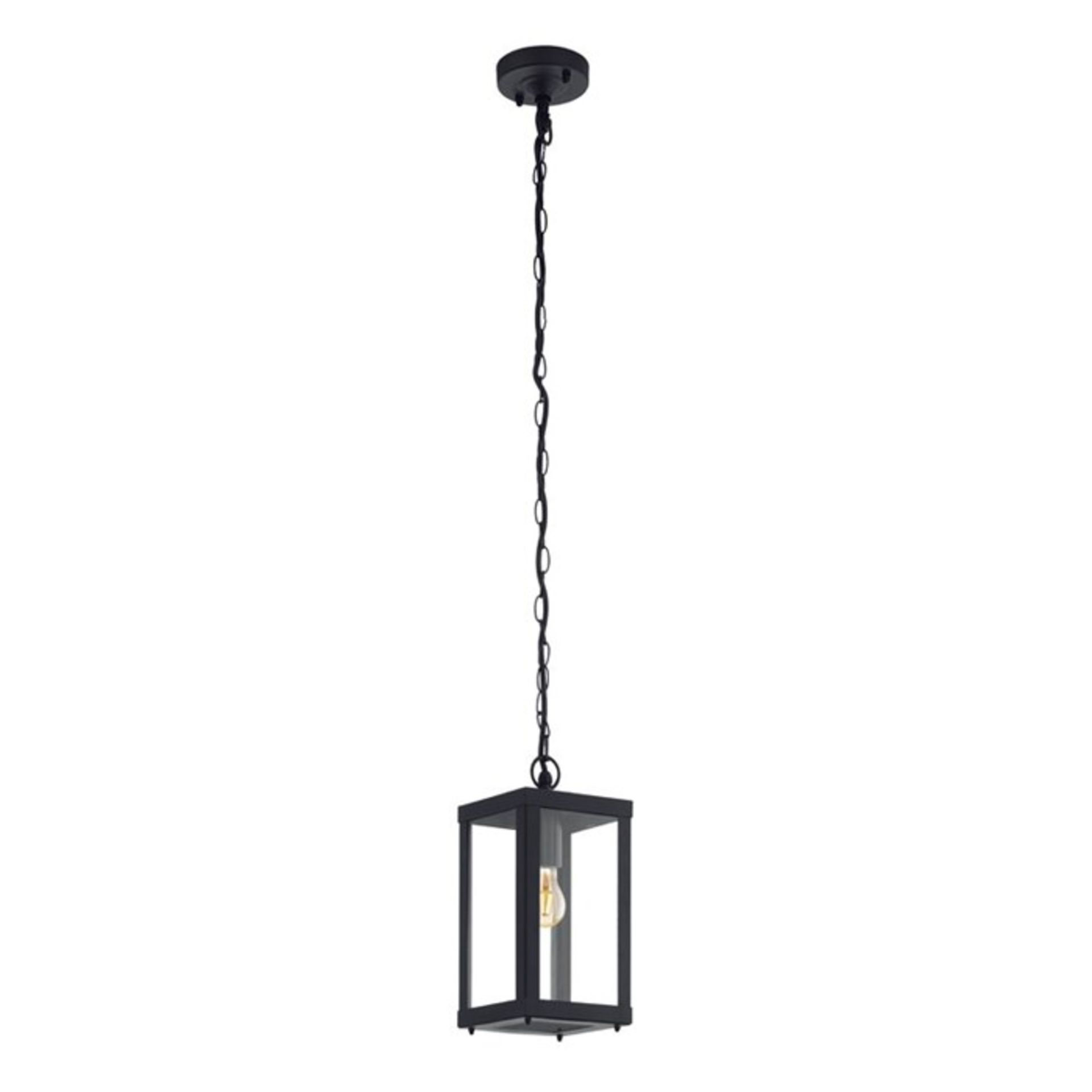 Brambly Cottage, Luciano 1 Light Outdoor Hanging Lantern (BLACK | SMALL SCRATCH ON THE TOP BLACK