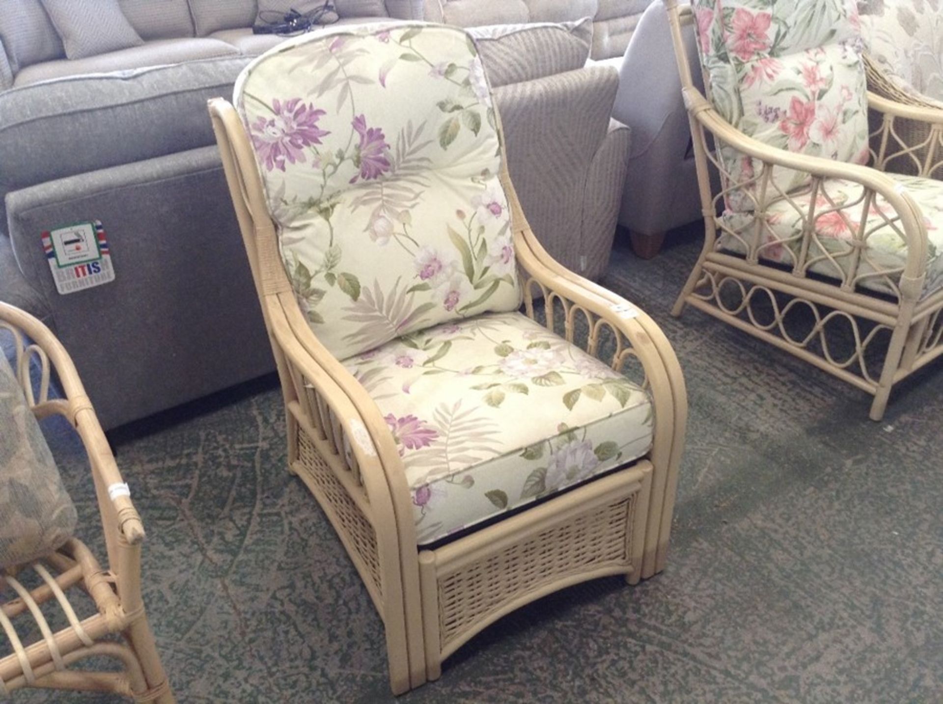 Highland Dunes,Desiree Armchair  (22519/4 -ROSW117