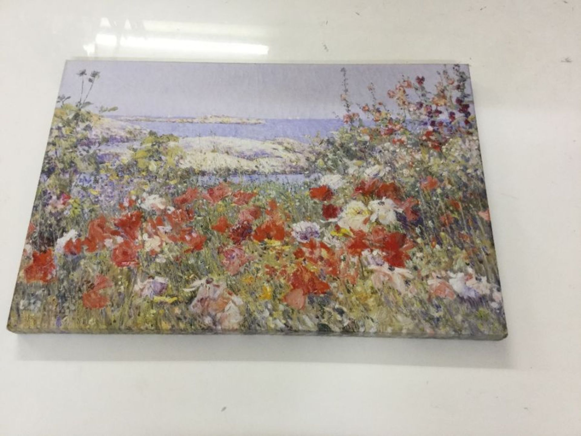 Big Box Art, 'Celia Thaxter's Garden' by Childe Hassam Painting Print on Canvas - RRP £40.99 (