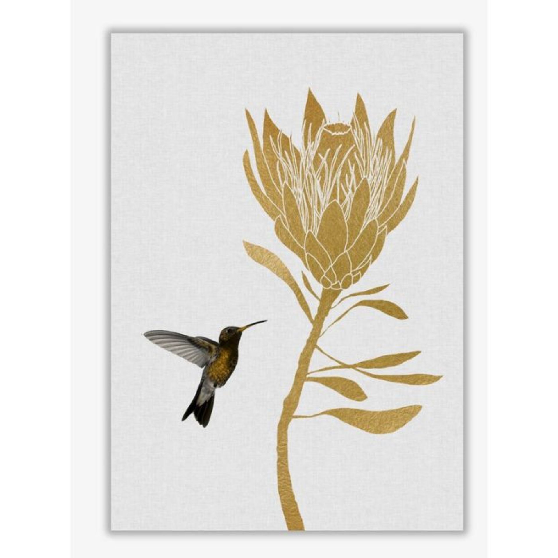 East Urban HomeHummingbird & Flower I' Graphic Art (NO FRAME) RRP - £10.99 (ATHN6435 - 22334/9) 1A