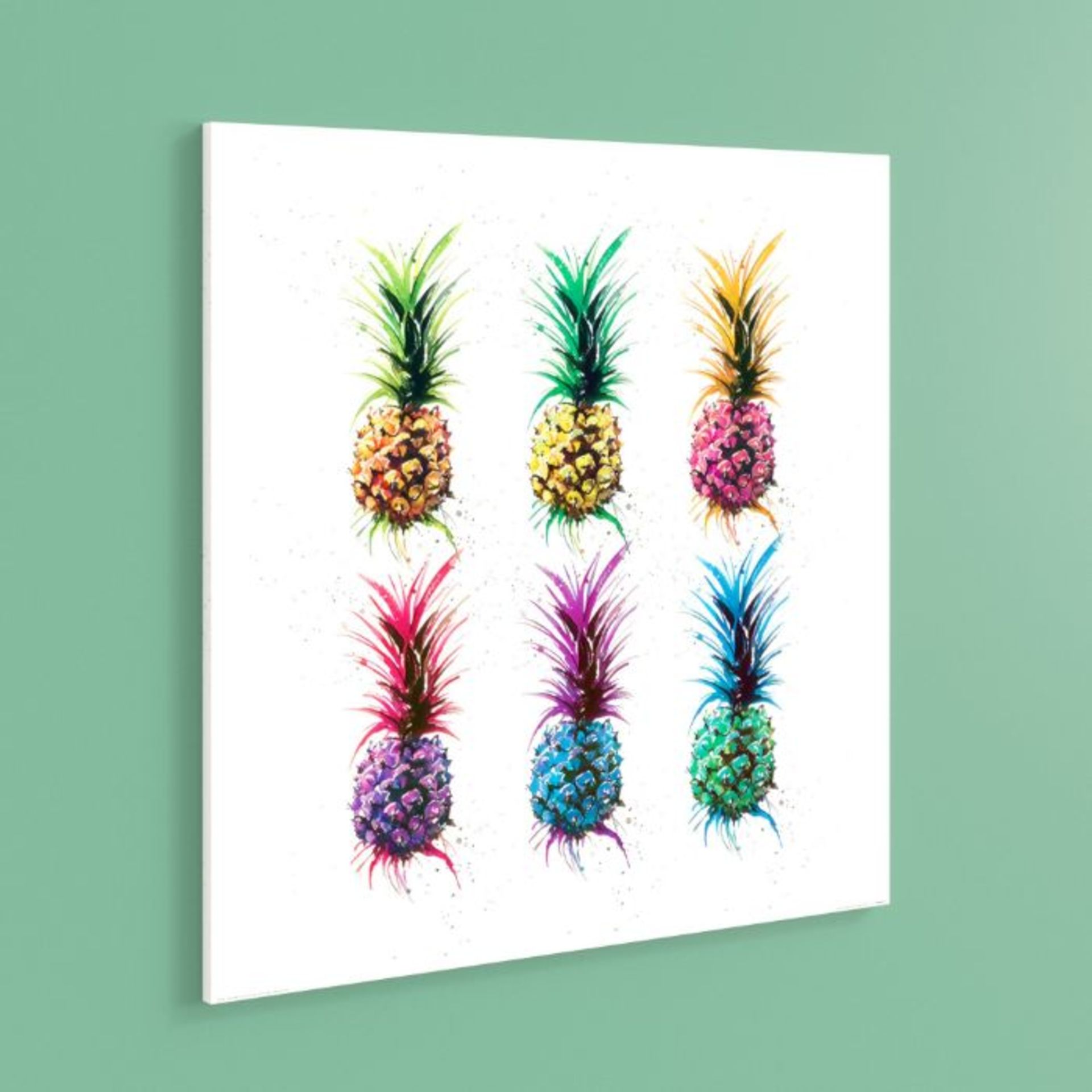 Pineapple Rainbow - Painting on Paper - RRP £18.99 (APET3486 - HL10 - 7/91)