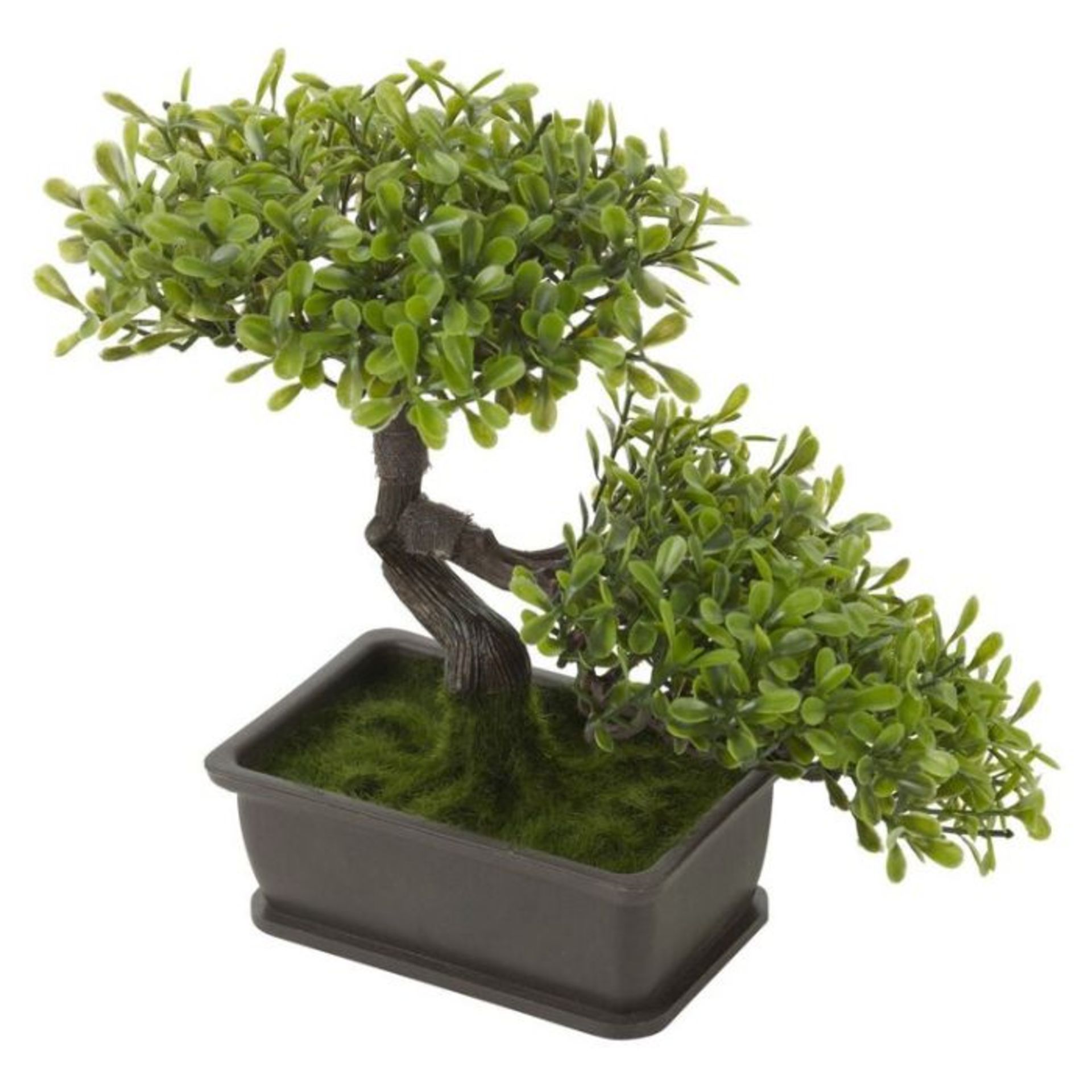 The Seasonal Aisle,Bonsai Plant in Pot - RRP £24.99(URBL1253 - 23905/49)