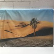 Big Box Art Palm Trees Landscape Photographic Print - RRP £48.89 (DGSX7250 - 22517/5)
