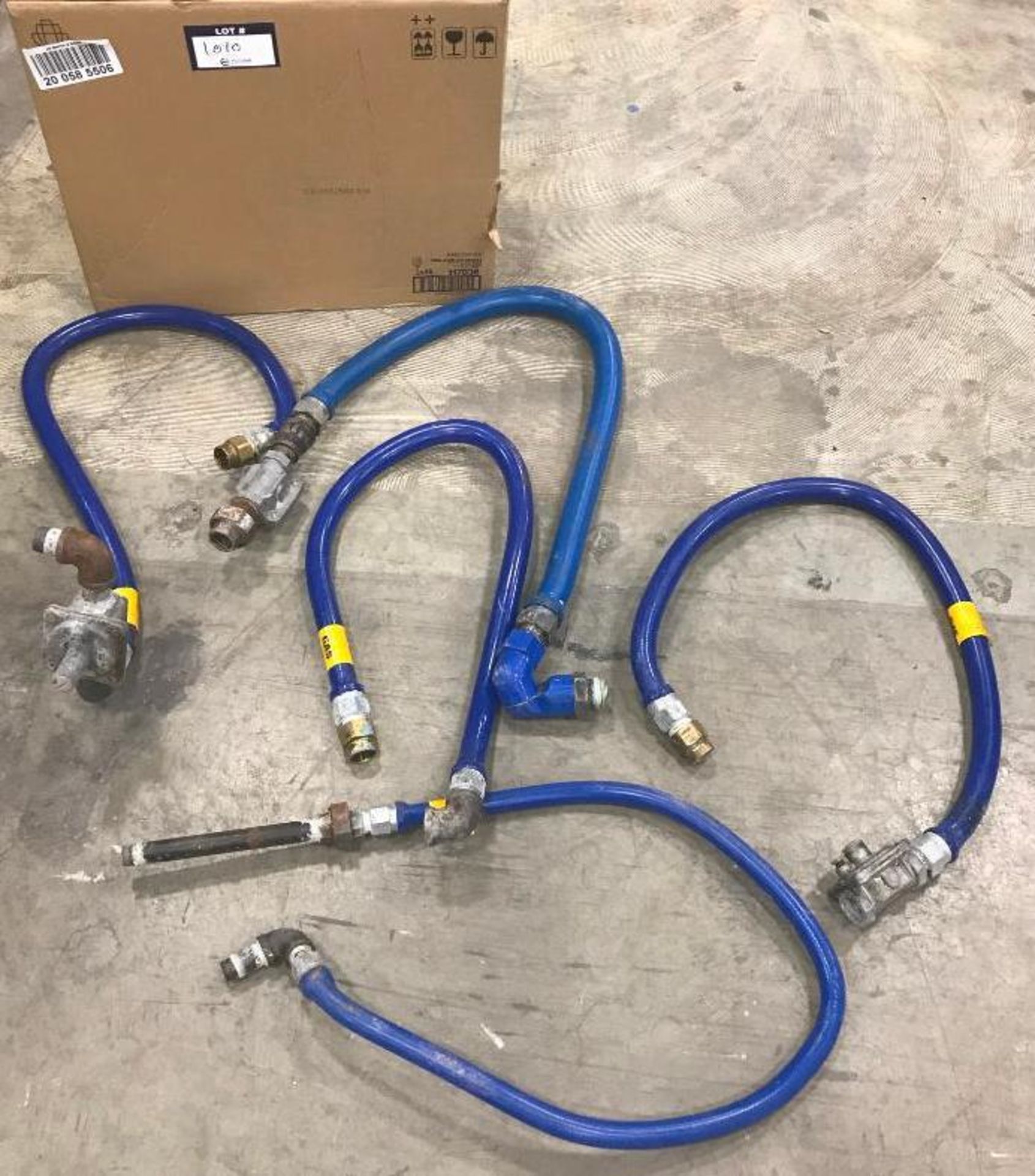 Blue Gas Hoses & Regulators